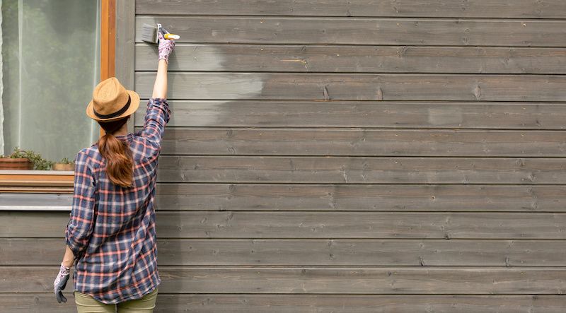 Image of woman painting her house.