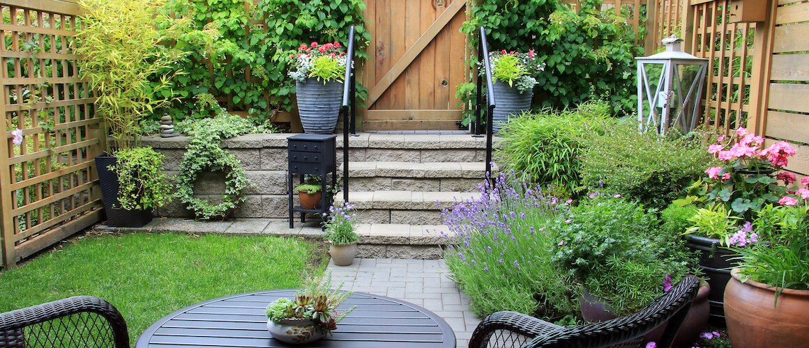 Image of backyard landscape.