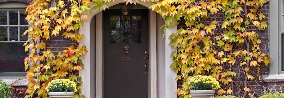 House front door in fall season.
