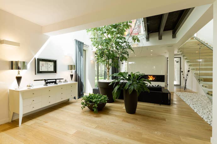 A spacious, open area with skylights and plants.