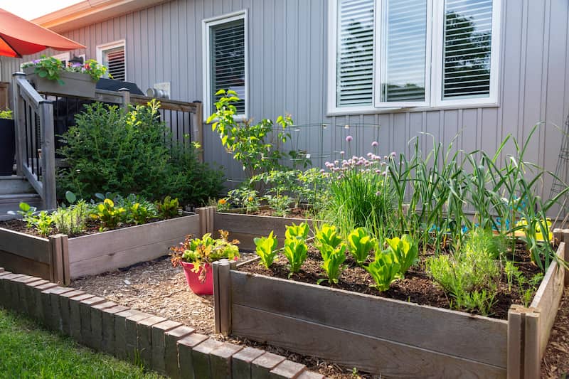 Cultivate a garden in small backyard.