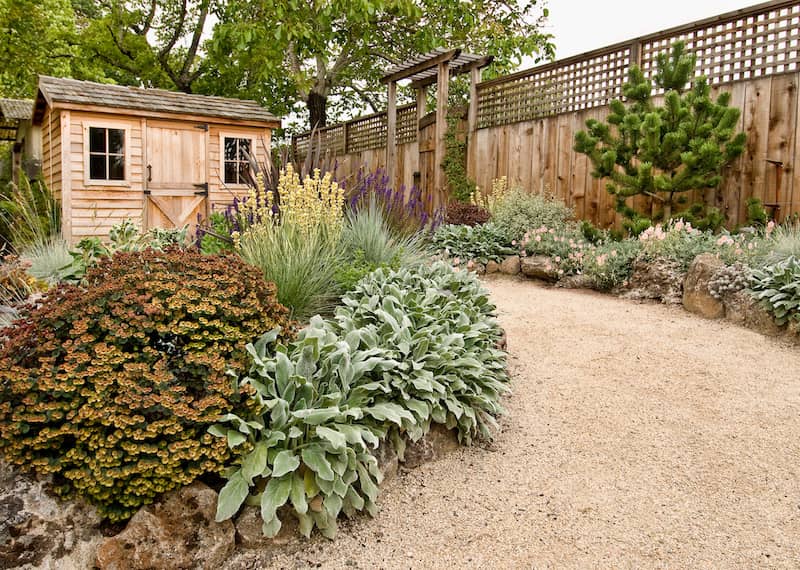 Embrace a no-mow lawn.