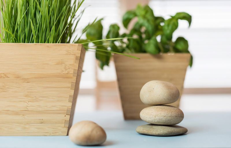 plants in wooden pots next to stacked rocks