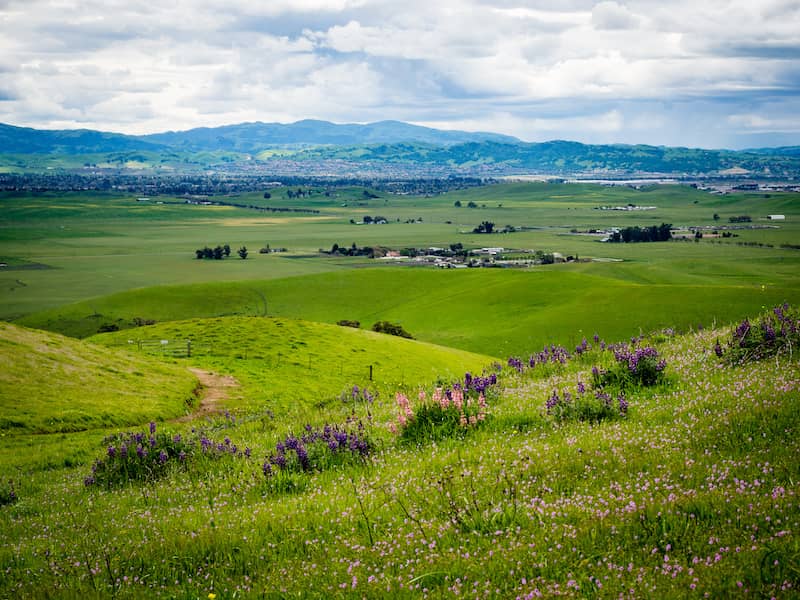 Large field with Pleasanton in the distance. Pleasanton, CA.