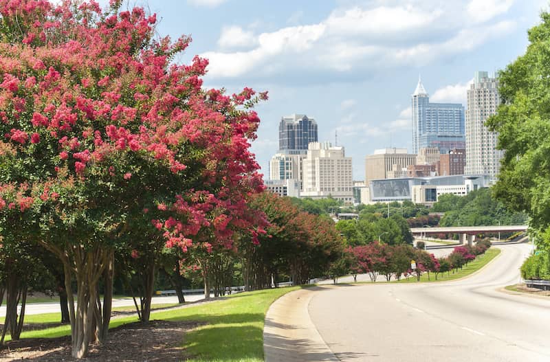 Downtown Raleigh Skyline With Beautiful Crepe Myrtle Trees In Bloom