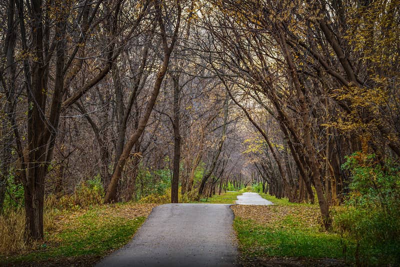 Looking down the Greenbelt Trail with lines of leafless trees on both sides.