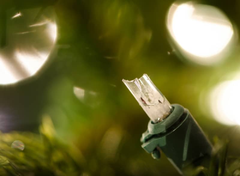 damaged LED Christmas light