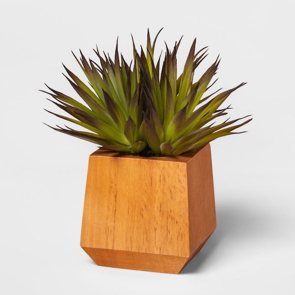 Artificial succulent from Target.
