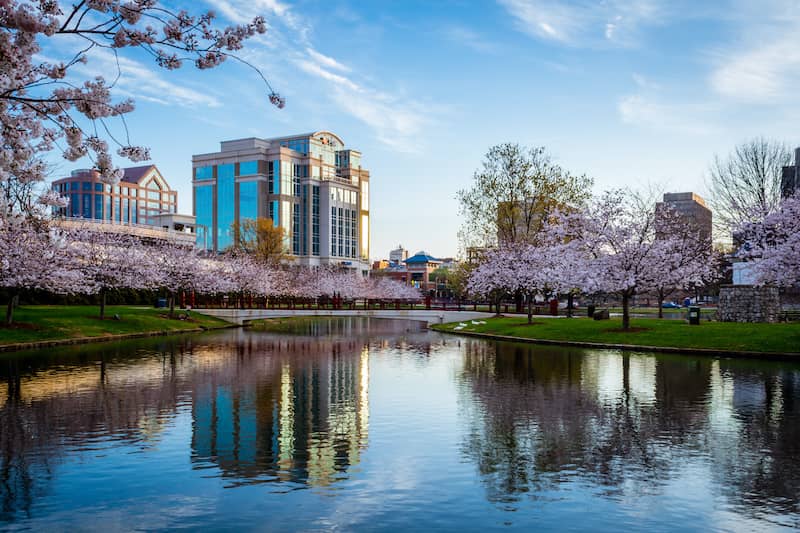Big Spring Park filled with Cherry Blossoms