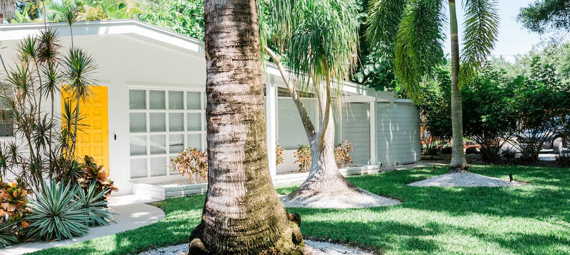 Sunny white beach house with palm trees.