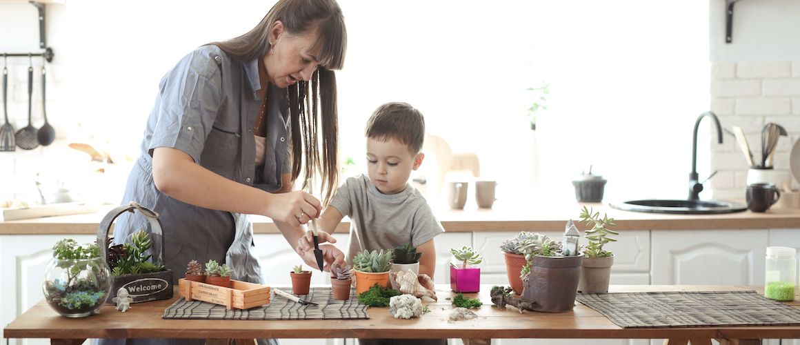 Mother and son planting succulents.