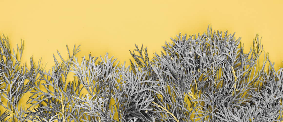 Pantone colors of the year- Ultimate Gray and Illuminating.
