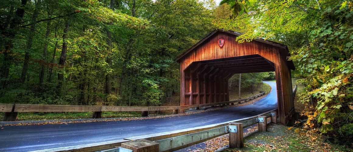 Wooden Bridge in Michigan