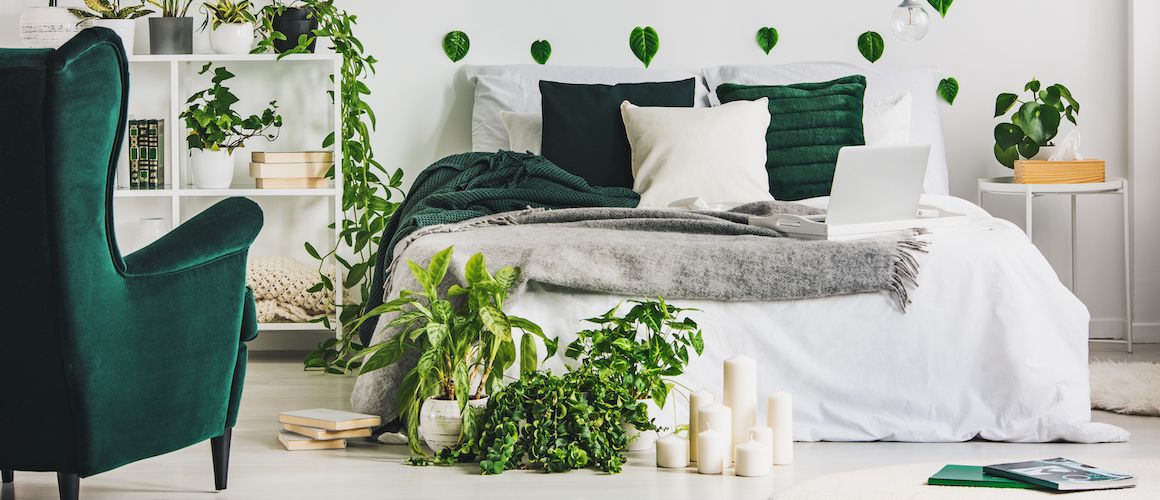 Green and white bedroom decor with plants