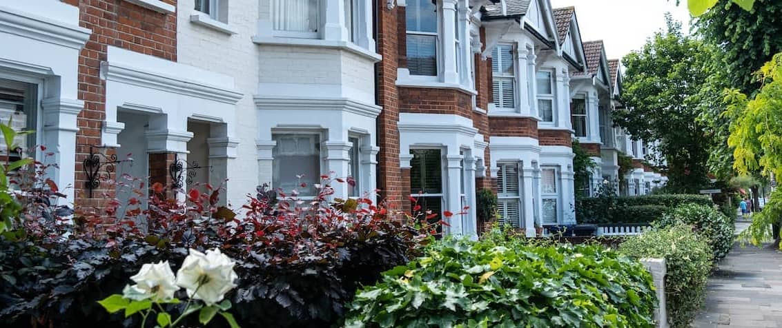 Row of brick homes with white rose bush in foreground.